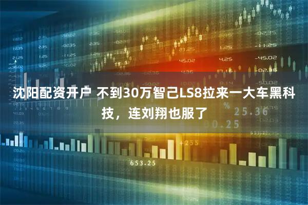 沈阳配资开户 不到30万智己LS8拉来一大车黑科技，连刘翔也服了